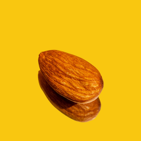 Tourteau d'amandes bio