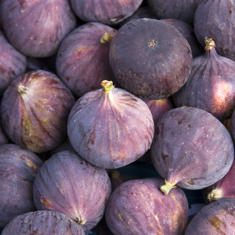 FIGUES BIO