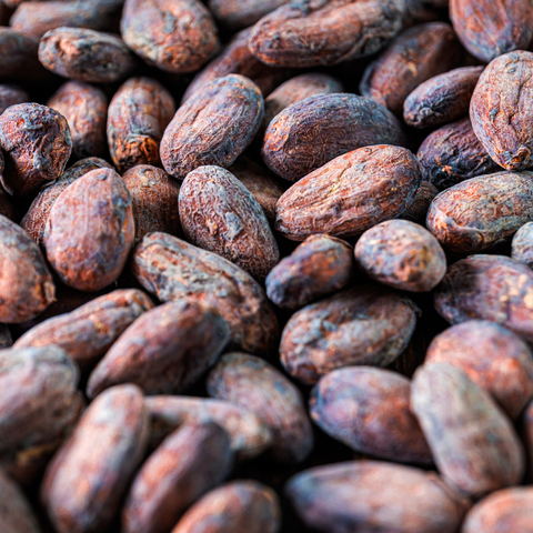 MASSE DE CACAO BIO ET ÉQUITABLE